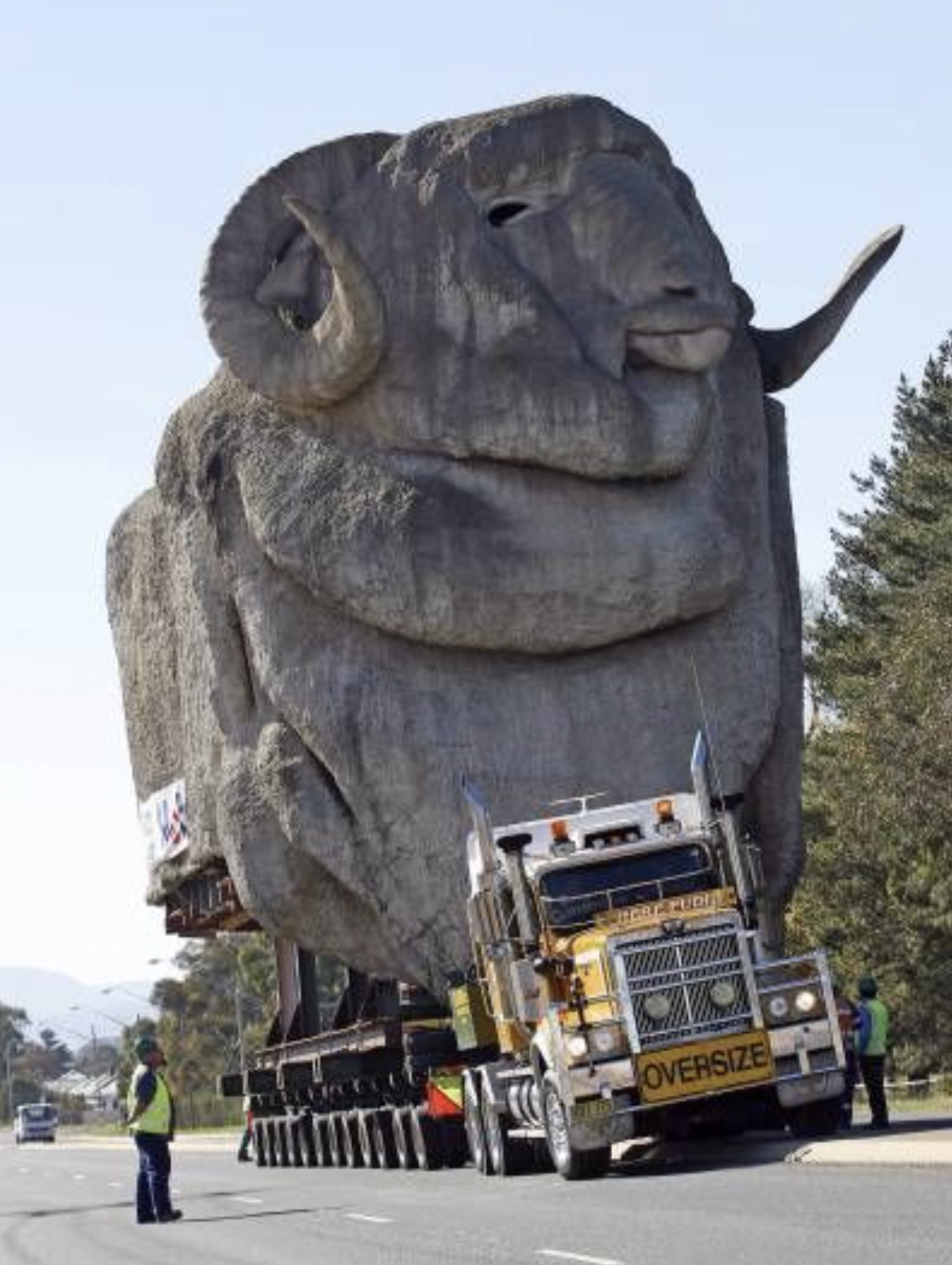 I've always said - we need a Mount Rushmore for goats. 